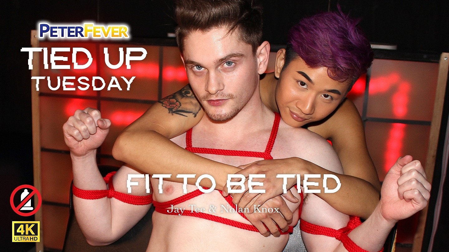 Tied Up Tuesday 4: Fit to Be Tied